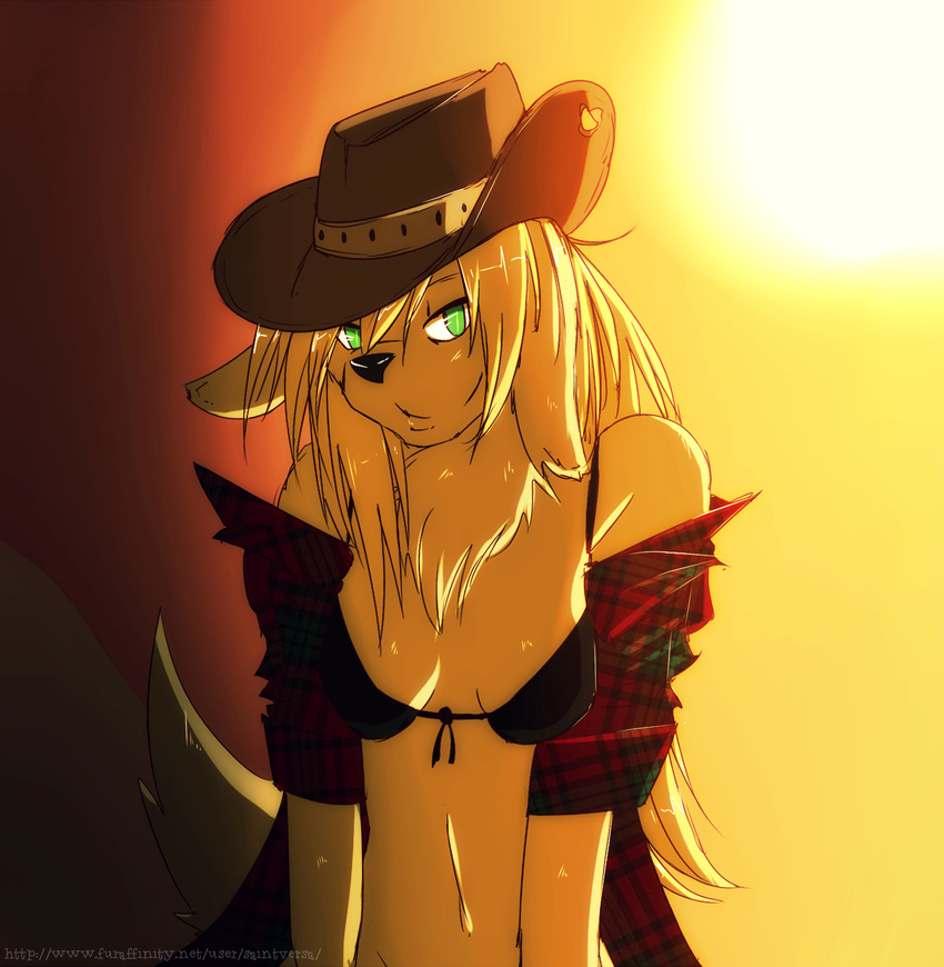 bra clothing cowboy dusty hat invalid_color invalid_tag plaid saintversa sunset underwear western