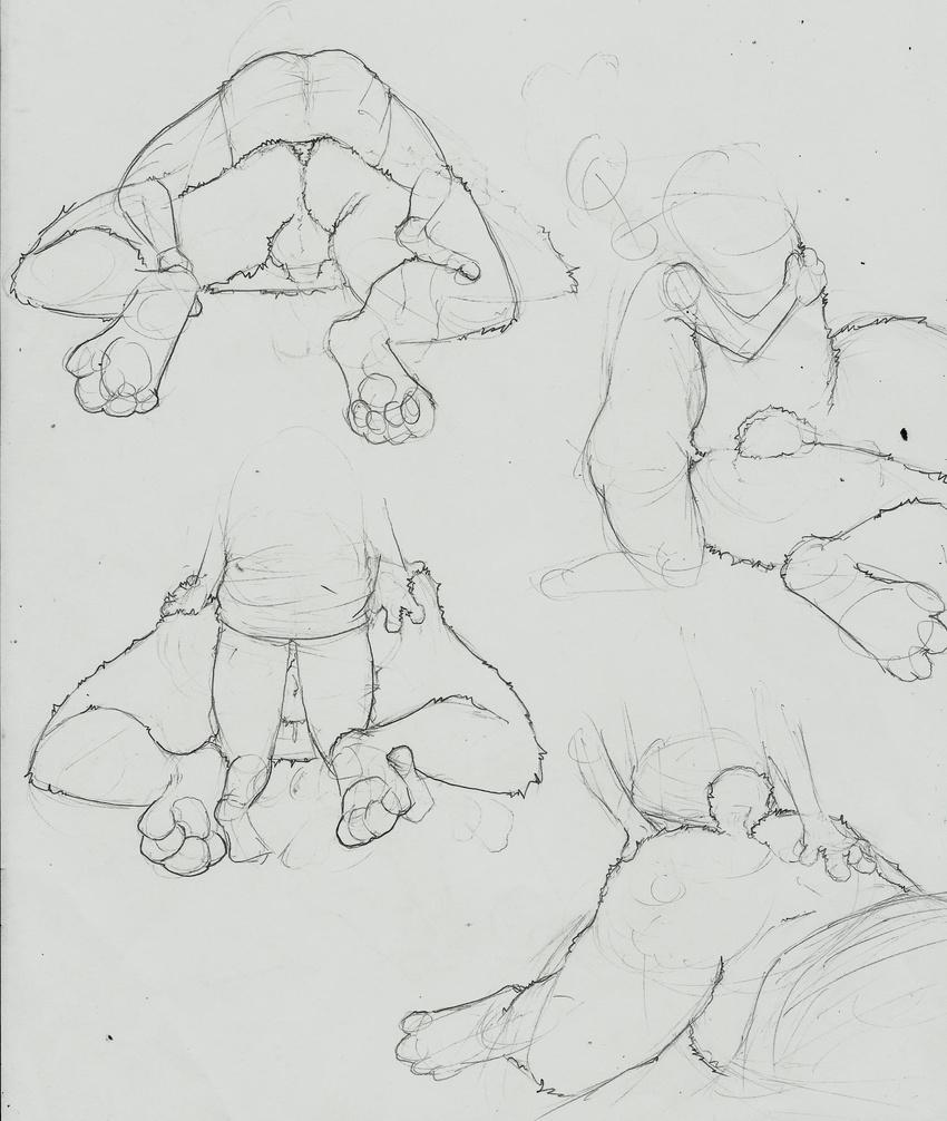 afrosoldier303 all_fours anal anthro ass_up balls bear chubby clothing doggystyle dripping from_behind human human_on_anthro interspecies legwear male mammal on_top pads paws raised_leg sex sheath size_difference sketch sleeping sloppy_sideways socks unfinished