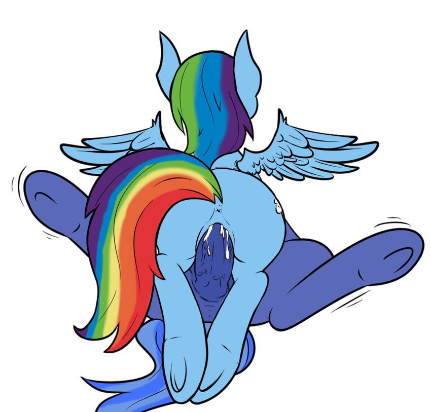 alpha_channel animal_genitalia anus balls cum cum_in_pussy cum_inside duo equine erection female feral friendship_is_magic horsecock male mammal my_little_pony pegasus penetration penis ponegranate pussy rainbow_dash_(mlp) sex vaginal vaginal_penetration wings