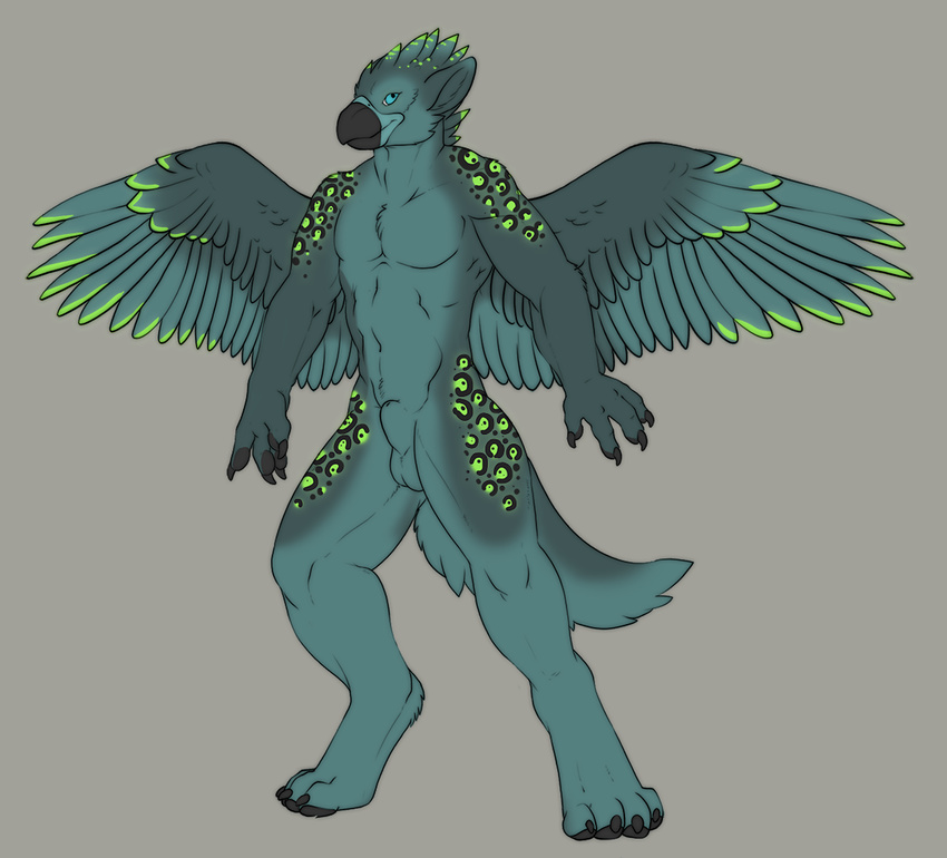 2014 aegis animal_genitalia anthro avian balls beak bird claws feathered_wings feathers looking_at_viewer male model_sheet nude sheath simple_background solo standing tojo_the_thief wings