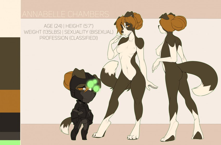annabelle_chambers bisexual border_collie brown_eyes brown_hair canine collie dog female hair male mammal model_sheet nude splinter_cell spy tiel