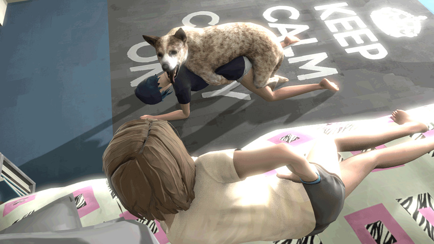 3d all_fours animated bed bestiality canine chloe_price dog doggystyle feral from_behind interspecies jenny92 life_is_strange mammal maxine_caulfield sex