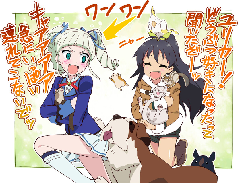 :d ahoge aikatsu! aikatsu!_(series) animal animal_on_head bird bird_on_head black_hair blush cat closed_eyes coat cockatoo crossover dog drill_hair fang ferret ferry_(aikatsu!) flying_squirrel ganaha_hibiki green_eyes hair_ribbon hamster hamuzou idolmaster idolmaster_(classic) inumi long_hair multiple_girls no_panties numakura_manami on_head open_mouth parrot pet pig ponytail ribbon school_uniform seiyuu_connection shorts silver_hair skirt smile squirrel st_bernard starlight_academy_uniform surprised tonbi toudou_yurika translation_request twin_drills yellowtip_cockatoo