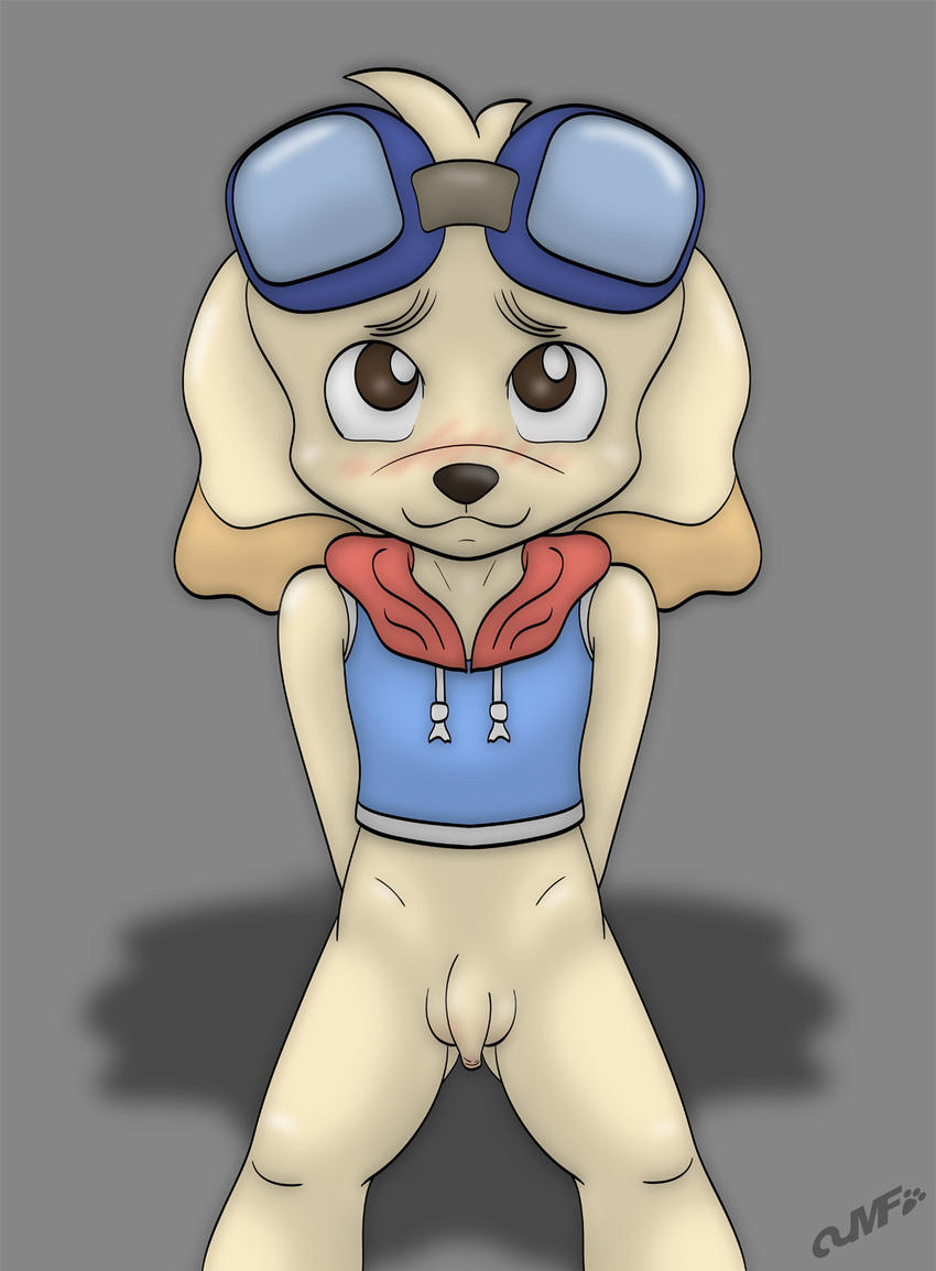 anthro anthrofied balls blush bottomless canine clothed clothing cub digital_media_(artwork) dog eyewear flaccid front_view goggles goggles_on_forehead half-dressed looking_at_viewer male mammal miniferu penis signature solo standing tetsunoshin uncut wan_wan_serepuu_soreyuke!_tetsunoshin young