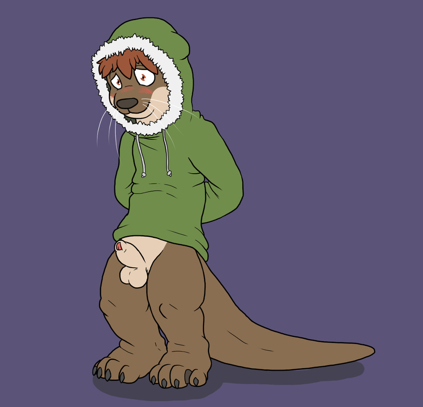 balls blueballs blush bottomless clothed clothing digital_media_(artwork) erection flat_colors half-dressed hands_behind_back hood long_tail looking_at_viewer male mammal mustelid otter parka partially_retracted_foreskin penis shy solo standing uncut whiskers