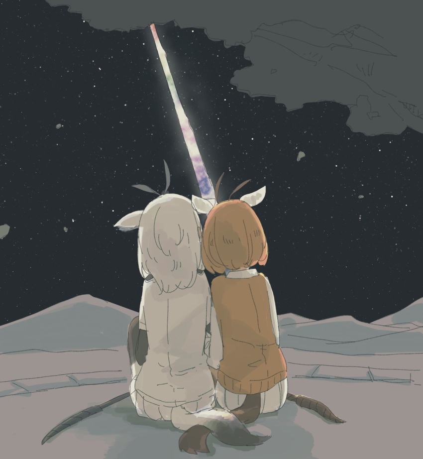 2girls animal_ears arabian_oryx_(kemono_friends) brown_hair from_behind gazelle_ears gazelle_horns gazelle_tail hasu_(zatsugami) highres horns kemono_friends long_hair long_sleeves multiple_girls night night_sky oryx_ears outdoors pleated_skirt polearm short_hair short_sleeves side-by-side sitting skirt sky spear star_(sky) tail thomson's_gazelle_(kemono_friends) weapon white_hair white_skirt