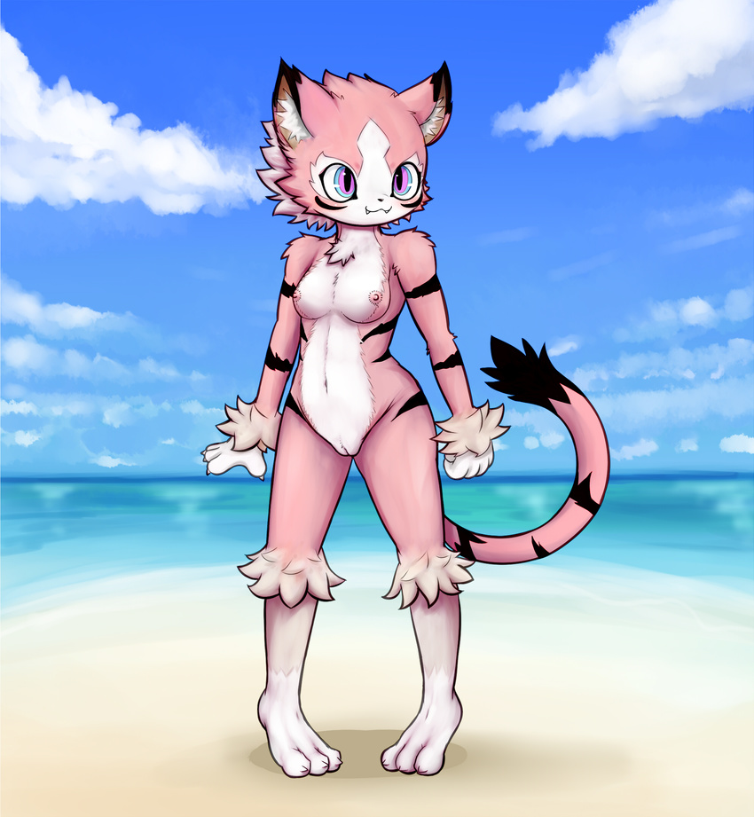 amazing_background anthro beach blush breasts cat catfuk123 detailed_background feline female fur mammal navel nude outside pussy seaside shadow small_breasts solo standing