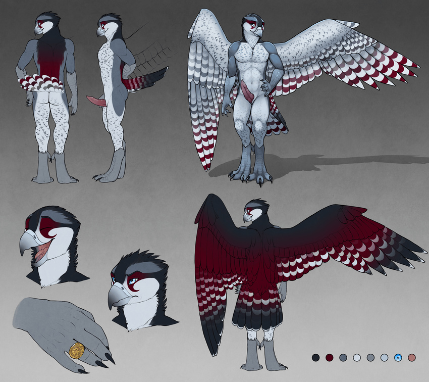 2015 absurd_res animal_genitalia anthro avian beak bird blue_eyes butt claws erection falcon feathers front_view frown genital_slit grey_feathers hand_on_hip happy hi_res knot male model_sheet multicolored_feathers multiple_angles nude penis peregrine_falcon rear_view red_feathers ring side_view slit smile solo swiftfalcon tail_feathers talons tongue tsaiwolf white_feathers wings