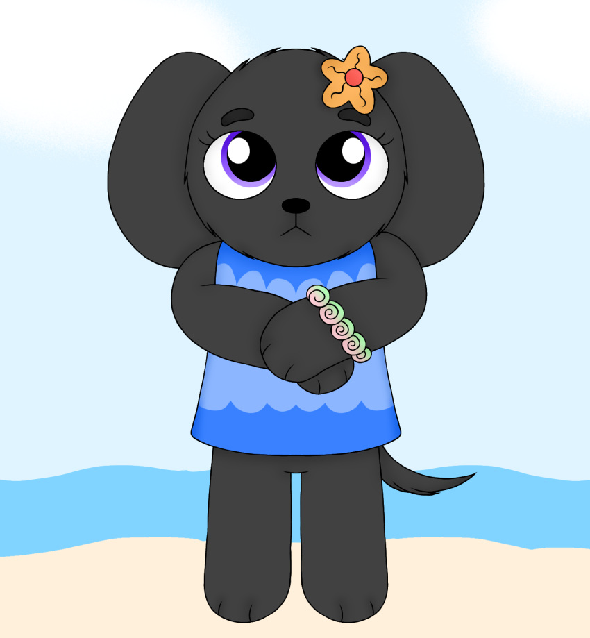 accessory anthro artziidubz asterozoan black_body black_fur blue_clothing blue_shirt blue_topwear boykin_spaniel canid canine canis clothing coral_(puppies_in_paradise) domestic_dog echinoderm eyebrows eyes female fur hi_res island_puppy mammal marine puppies_in_paradise_(series) purple_eyes sea shirt sleeveless_shirt solo starfish starfish_(accessory) thick_eyebrows toony topwear water