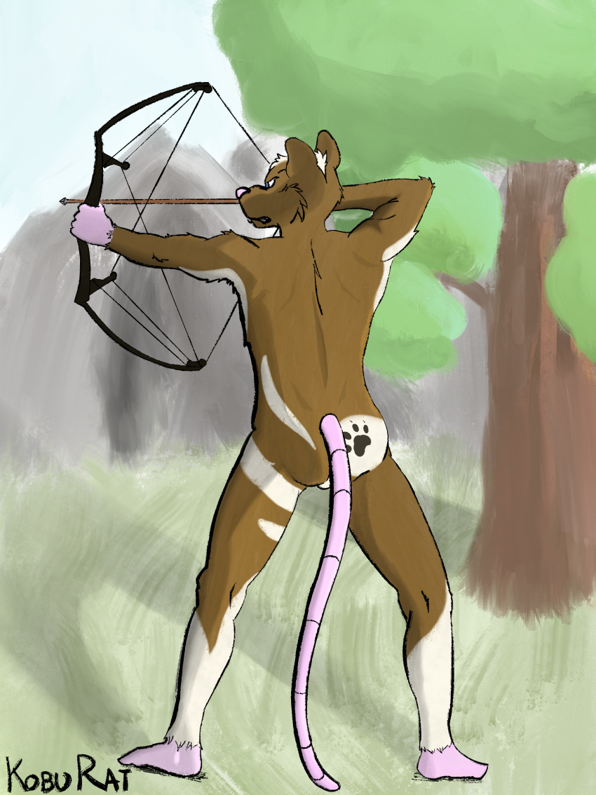 2020 absurd_res archer archery arrow_(weapon) biped blue_eyes bow_(weapon) brown_body brown_fur buckteeth butt butt_tattoo feet footprint forest forest_background fur hi_res humanoid_feet male mammal markings murid murine nature nature_background nude pawprint pawprint_(marking) pawprint_on_body pawprint_tattoo pink_feet pink_nose plant plantigrade ranged_weapon rat rear_view rodent sarahratte socks_the_rat_(fursona) soles solo standing tattoo teeth tree weapon whiskers white_markings