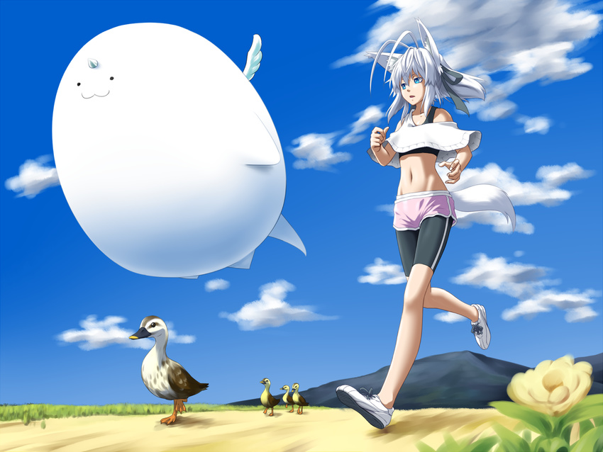 animal_ears antenna_hair bike_shorts bird blue_eyes cloud creature day duck duckling horns kentairui long_hair midriff mitsuha_(kentairui) navel no_socks original running shoes shorts sky solo sports_bra tail white_hair wings