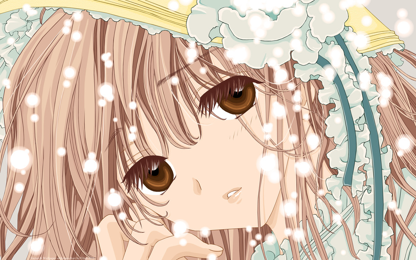 brown_eyes kobato tagme