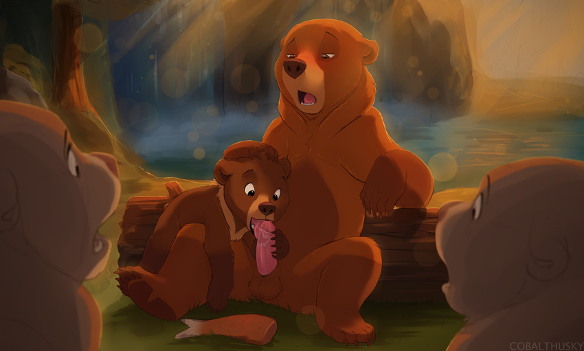 2015 age_difference balls bear blush brother_bear cobalthusky cub digital_drawing_(artwork) digital_media_(artwork) disney duo_focus erection exhibitionism foreskin_pull forest front_view group humanoid_penis incest kenai koda licking male male/male mammal nature nude open_mouth oral orgasm_face outside partially_retracted_foreskin penis penis_lick perspective public reclining semi-anthro sex sheath sitting size_difference spread_legs spreading surprise tongue tongue_out tree uncut voyeur young