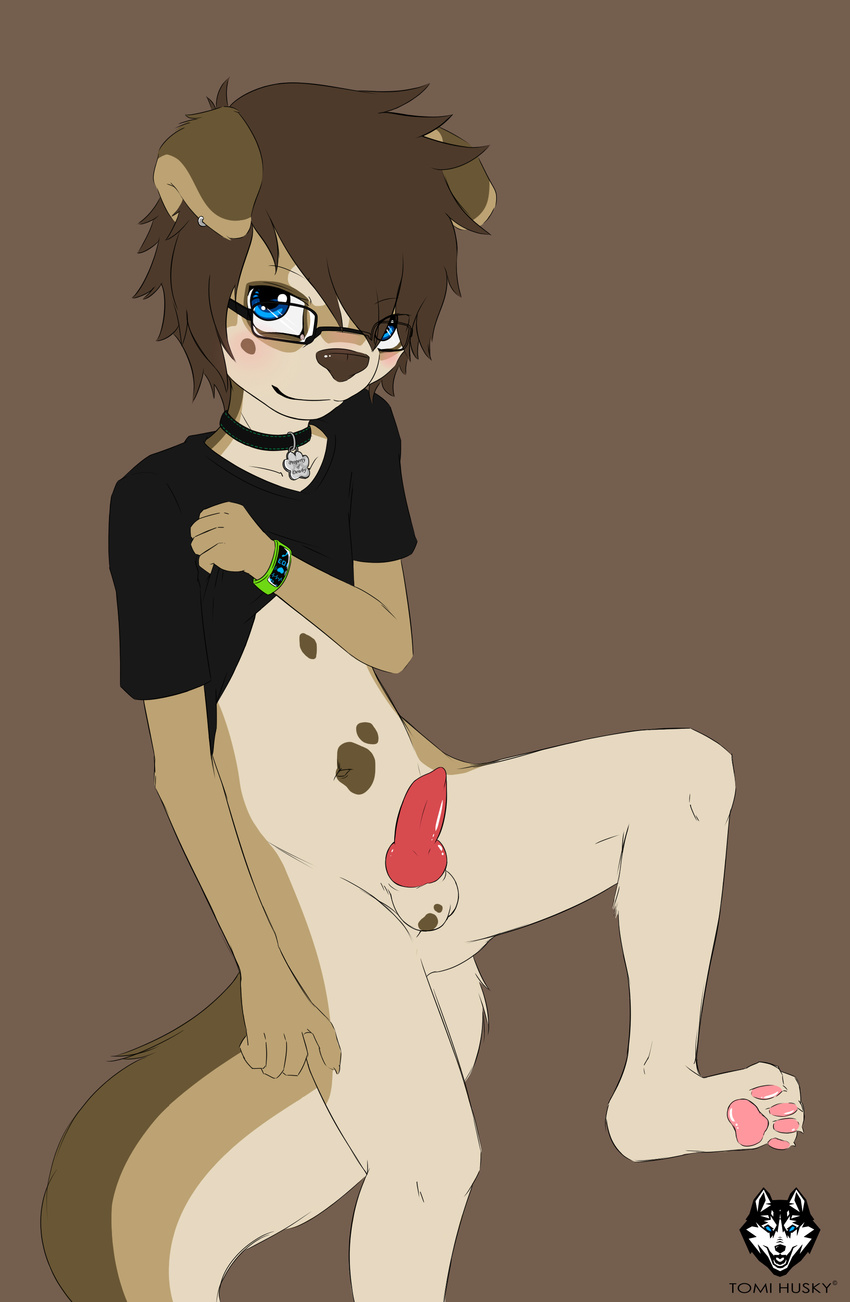 animal_genitalia balls blue_eyes blush brown_fur brown_hair canine collar collyn_terrell cream_fur cub dog erection eyewear floppy_ears fur glasses hair husky knot looking_at_viewer male mammal navel nude pawpads penis piercing presenting simple_background tomihusky wristwatch young