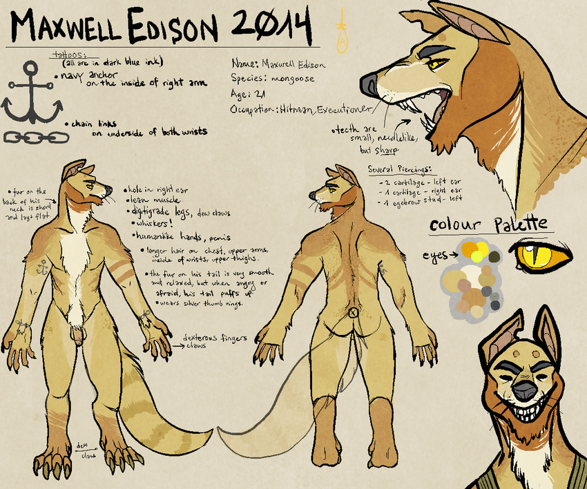 2014 anapnea anthro balls butt claws digitigrade fangs flaccid front_view male mammal maxwell_(anapnea) model_sheet mongoose notched_ear nude open_mouth penis rear_view sharp_teeth smile solo tattoo teeth toe_claws whiskers yellow_eyes