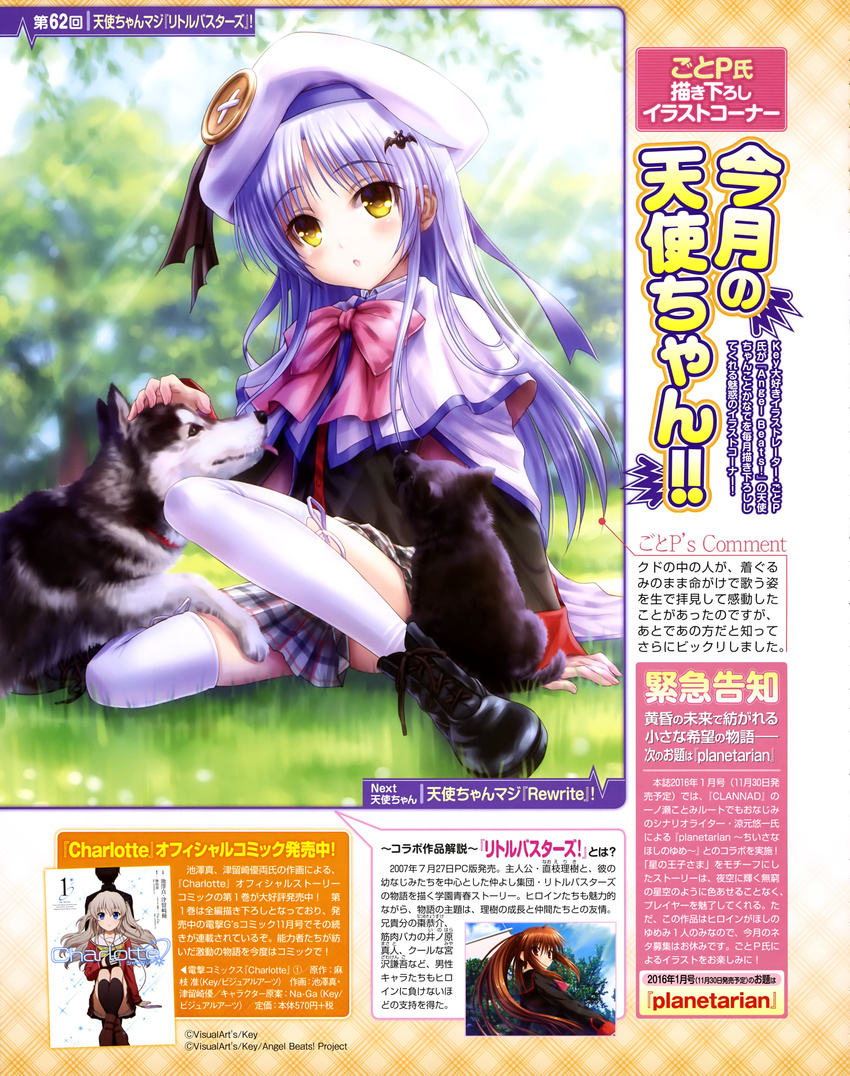 :o absurdres angel_beats! bat_hair_ornament belka beret blurry blush boots bow cape charlotte_(anime) company_connection cosplay cross-laced_footwear depth_of_field dog goto_p grass hair_ornament hat highres key_(company) little_busters! long_hair natsume_rin noumi_kudryavka noumi_kudryavka_(cosplay) on_ground otosaka_yuu plaid plaid_skirt pleated_skirt school_uniform silver_hair sitting skirt strelka sunlight tenshi_(angel_beats!) thighhighs tomori_nao tongue tongue_out tree white_legwear yellow_eyes