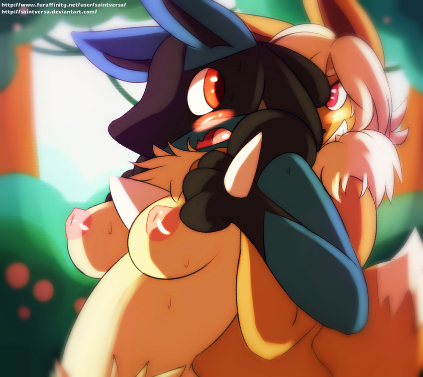 2015 anthro areola big_breasts black_fur blue_fur blush breasts chest_tuft duo eevee female fluffy fur grope hair looking_back lucario multicolored_fur nintendo nipples nude open_mouth orange_eyes outside pok&eacute;mon purple_eyes saintversa smile spikes surprise tan_fur teeth tuft video_games