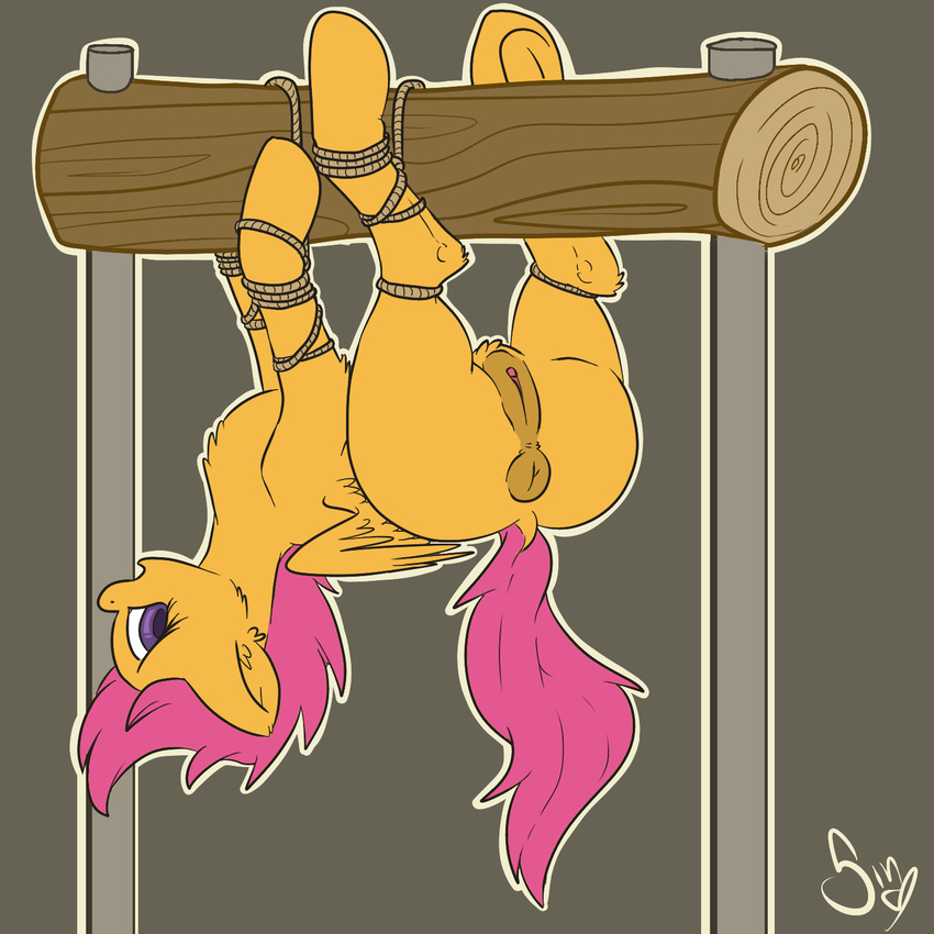 anus bound cub equine female feral friendship_is_magic horse looking_back mammal my_little_pony pegasus poisindoodles pony pussy scootaloo_(mlp) solo underhoof upside_down wings young