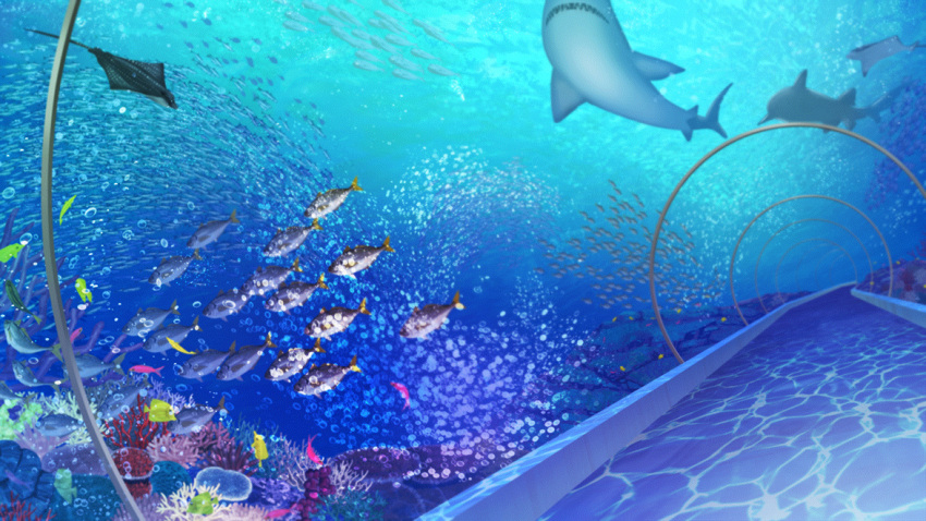 anthias_(fish) aquarium_tunnel coral coral_reef dutch_angle film_grain fish game_cg izumi_tsubasu jack_(fish) no_humans non-web_source official_art re:stage! scenery school_of_fish shark stingray surgeonfish yellow_tang yellowtail_amberjack