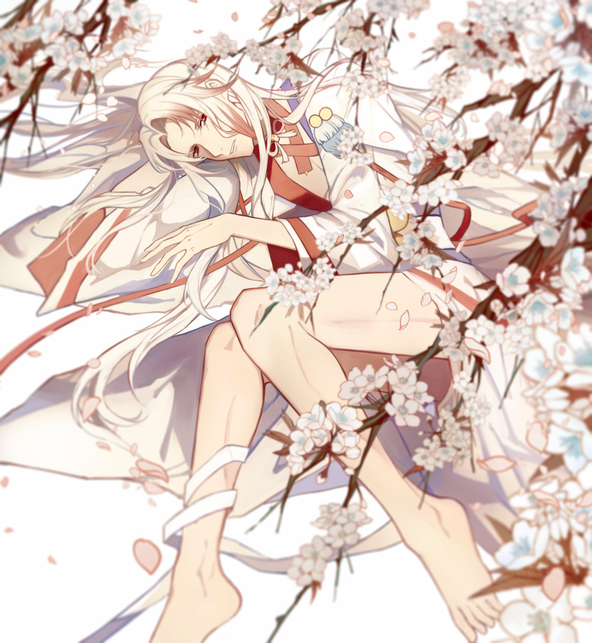 1boy absurdres bare_legs barefoot branch cherry_blossoms chinese_clothes choker curtained_hair falling_petals feet flower full_body hair_ribbon highres knees_together_feet_apart kocona legs long_hair lying male_focus meng_po_tea_(the_tale_of_food) multicolored_hair on_side open_clothes open_robe parted_bangs parted_lips pectoral_cleavage pectorals petals pink_flower red_choker red_eyes red_hair red_ribbon ribbon robe sideways_glance solo streaked_hair tassel the_tale_of_food toes tress_ribbon white_background white_hair white_robe wide_sleeves