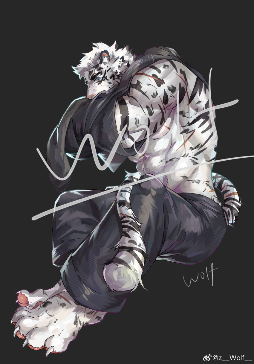 1boy abs animal_ears arknights artist_request bara barefoot facial_hair full_body furry furry_male goatee highres large_hands looking_at_viewer male_focus mountain_(arknights) muscular muscular_male pants scar scar_across_eye scar_on_arm short_hair sitting solo thick_eyebrows tiger_boy tiger_ears underpec undressing white_hair