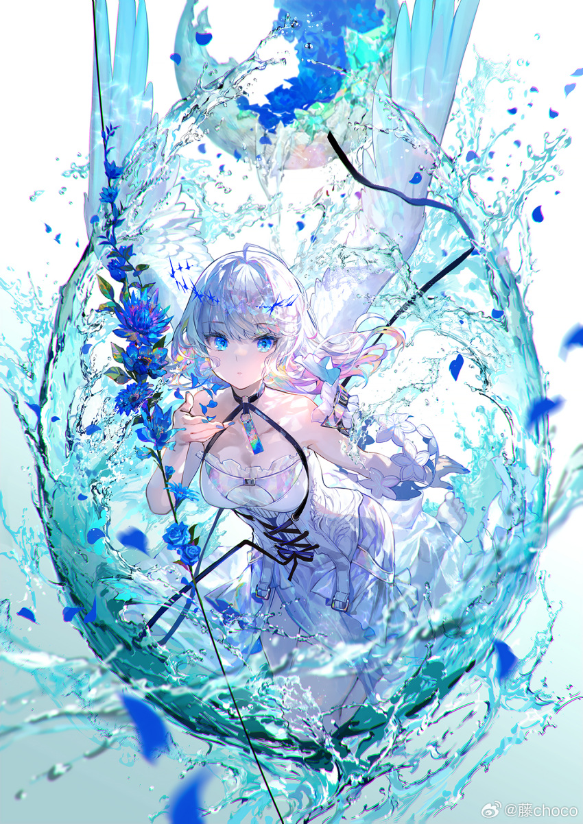 1girl ahoge angel angel_wings aqua_theme artist_name bare_arms bare_shoulders barefoot blue_eyes blue_flower blue_nails blue_rose breasts chest_harness chinese_commentary choker cleavage commentary_request corset cross-laced_clothes dress flower frilled_dress frills fuzichoco harness hatching highres large_breasts long_hair looking_at_viewer off-shoulder_dress off_shoulder original petals rose sidelocks solo splashing swept_bangs water watermark weibo_logo weibo_username white_background white_corset white_dress white_flower white_hair wings wrist_flower