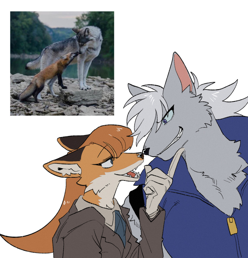 animal animal_ears blue_eyes blue_sclera brown_hair brown_jacket brown_shirt collared_jacket collared_shirt colored_sclera fox fox_ears fox_girl furry furry_female furry_male gloves grey_fur grey_hair grin hand_on_another's_chin high_collar highres jacket long_hair long_sleeves looking_at_another open_mouth orange_fur original precure rata_(norahasu) reference_inset sharp_teeth shirt simple_background sleeveless smile smile_precure! teeth upper_body white_background wolf wolf_boy wolf_ears wolfrun
