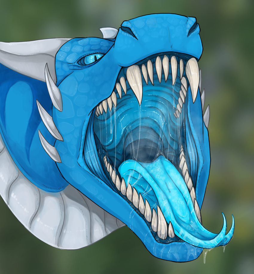 ambiguous_gender blue_eyes blue_gums blue_scales blue_tongue blurred_background breath close-up dragon dripping drooling feral gaping_mouth glacius horn looking_at_viewer mouth_shot ribcagedemon saliva saliva_string scaile scales snout solo spikes throat tongue tongue_out