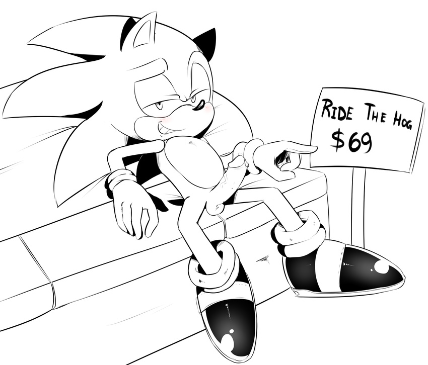 anthro balls erection hearlesssoul hedgehog humanoid_penis male mammal penis solo sonic_(series) sonic_the_hedgehog