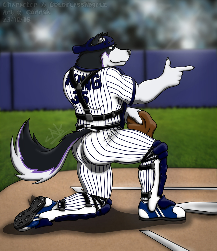 ball baseball_(ball) canine catcher corrsk dog husky male mammal muscular sebastian_king