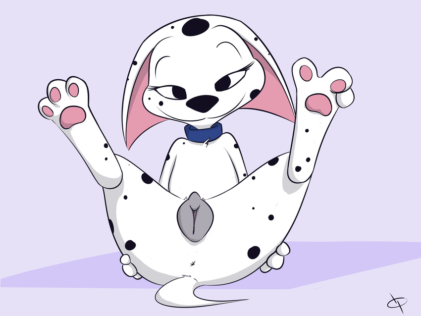 101_dalmatians 2015 animal_genitalia anus cadpig canine canine_pussy collar cub dalmatian disney dog female feral front_view hi_res hindpaw kaykitten legs_up looking_at_viewer mammal pawpads paws presenting pussy reclining simple_background smile solo young