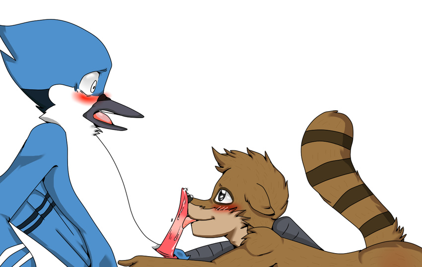 animal_genitalia anthro avian bird blush butt cartoon_network cloaca erection fellatio fur male male/male mammal mordecai_(regular_show) nude oral penis precum raccoon regular_show rigby_(regular_show) ryutzke_douga_(artist) sex shocked shy