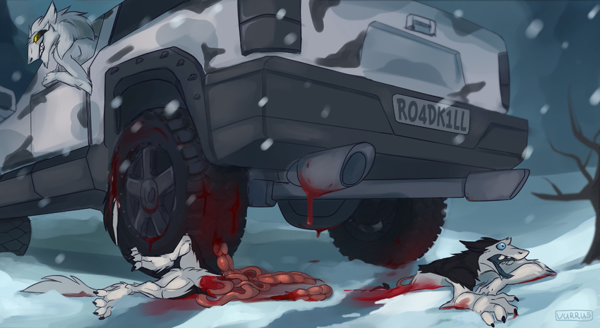 2015 ambiguous_gender anthro black_eyes black_fur black_hair blood blue_eyes brutal car claws death duo english_text fur gore hair intestines long_hair nightmare_fuel nude open_mouth outside roadkill sergal snow teeth text toe_claws tongue tongue_out vehicle vurrus white_fur white_hair yellow_sclera