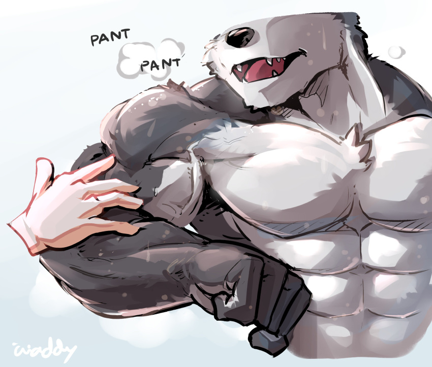 abs biceps canin canine disembodied_hand fangs male mammal muscular muscular_male pecs simple_background waddledox wolf