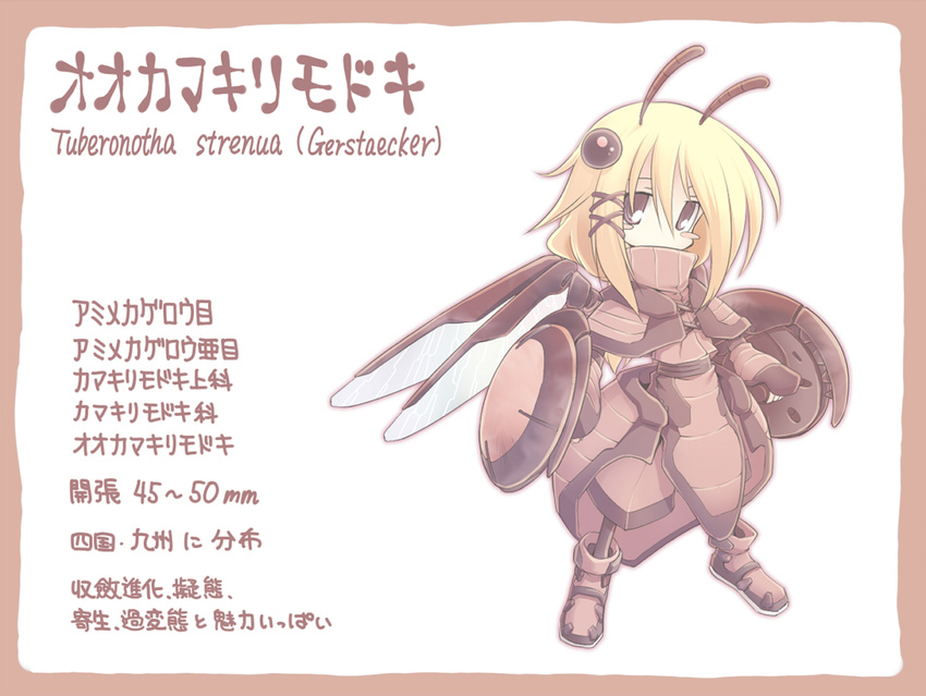 antennae blonde_hair insect_girl monster_girl nekoguruma original personification pixiv_insects solo translation_request