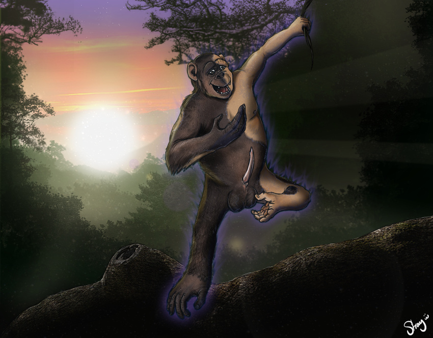 anthro ape baboon balls butt fur hair human male mammal monkey nude prehensile_feet primate solo
