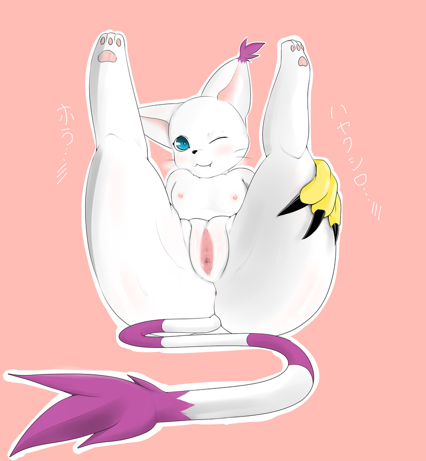 big_butt blue_eyes butt clothing digimon ear_tuft feline female fur gatomon gloves japanese_text legs_up long_tail lying mammal nipples one_eye_closed pawpads presenting presenting_pussy pussy smile solo text tuft whiskers white_fur wink ーリミッター