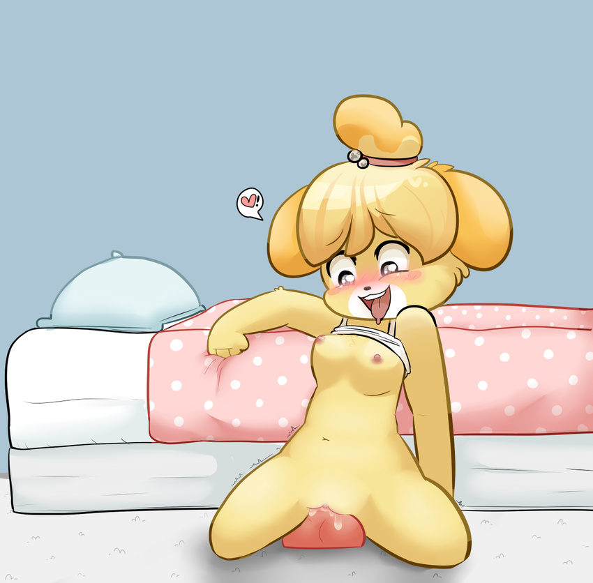 ! &lt;3 animal_crossing bed blonde_hair blush breasts canine clothing dildo dildo_sitting dog female floor hair happy isabelle_(animal_crossing) mammal nintendo open_mouth penetration pillow pussy pussy_juice qtipps sex sex_toy shirt shirt_lift solo tongue tongue_out undressing vaginal vaginal_penetration video_games