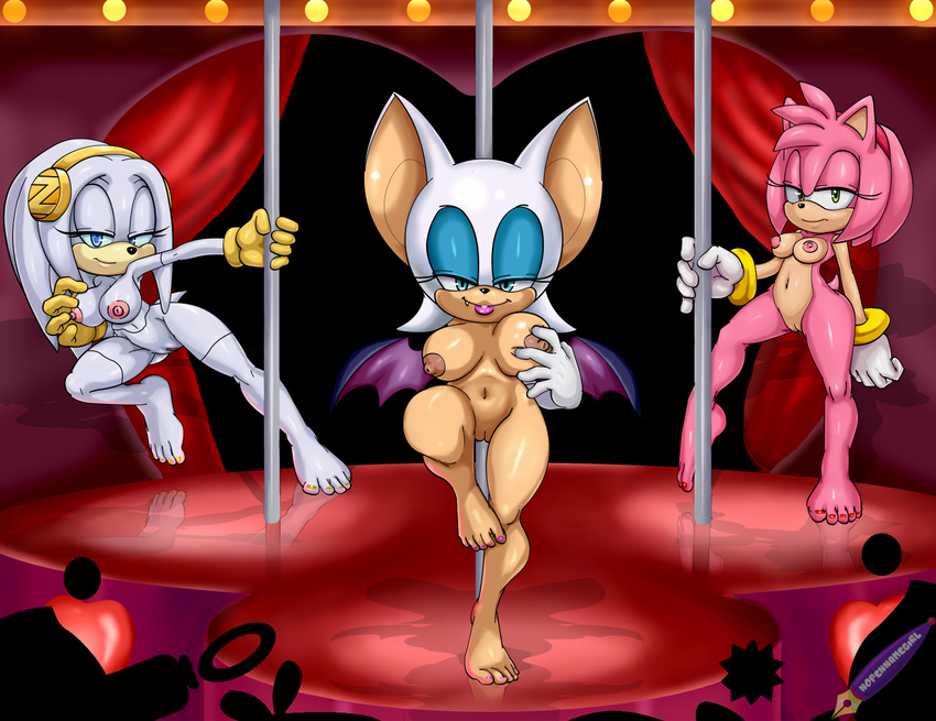 2015 amy_rose anthro areola bat big_breasts breasts echidna erect_nipples female hedgehog mammal monotreme navel nipples pussy ravnic rouge_the_bat sonic_(series) stripper zeta_the_echidna