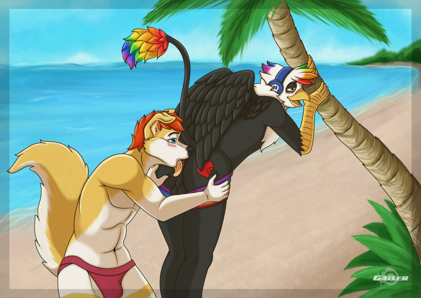 &lt;3 anal avian beach canine fox gaiser girly gryphon headphones leoketsal male male/male mammal mexico oral queretaro rainbow rey rimming seaside sex skoop_(character) uke wings yucatan