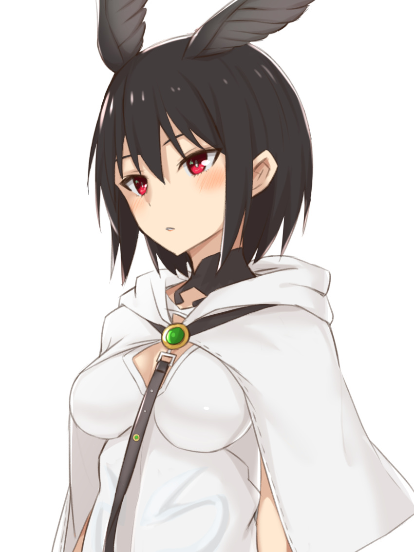 1girl black_hair blush breasts capelet detached_collar elfenlied22 fate/grand_order fate_(series) hair_between_eyes head_wings highres hood hooded_capelet leash medium_breasts ortlinde_(fate/grand_order) red_eyes shirt short_hair solo upper_body valkyrie_(fate/grand_order) white_background white_capelet white_shirt