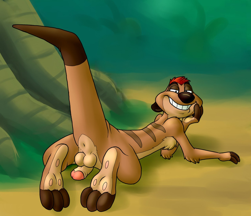 anthro anus backsack balls blueballs disney erection grin humanoid_penis leaning_on_elbow looking_at_viewer looking_back lying male mammal meerkat mongoose nude on_front outside penis penis_backwards presenting raised_tail rear_view retracted_foreskin solo the_lion_king timon uncut