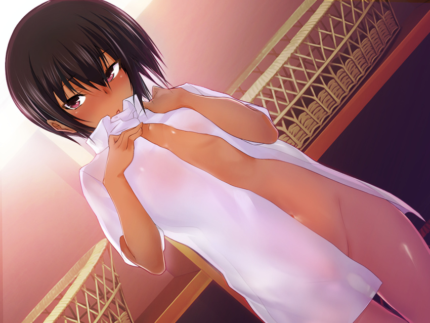 :o amago_haru bangs basket black_hair blush bottomless breasts collared_shirt cowboy_shot dark_skin dress_shirt dutch_angle embarrassed game_cg groin hair_between_eyes hand_on_own_chest hand_on_own_shoulder highres indoors kawagishi_keitarou looking_at_viewer maji_de_watashi_ni_koi_shinasai! naked_shirt navel no_bra nose_blush open_clothes open_mouth open_shirt purple_eyes see-through_silhouette shirt short_hair short_sleeves small_breasts solo standing undressing white_shirt