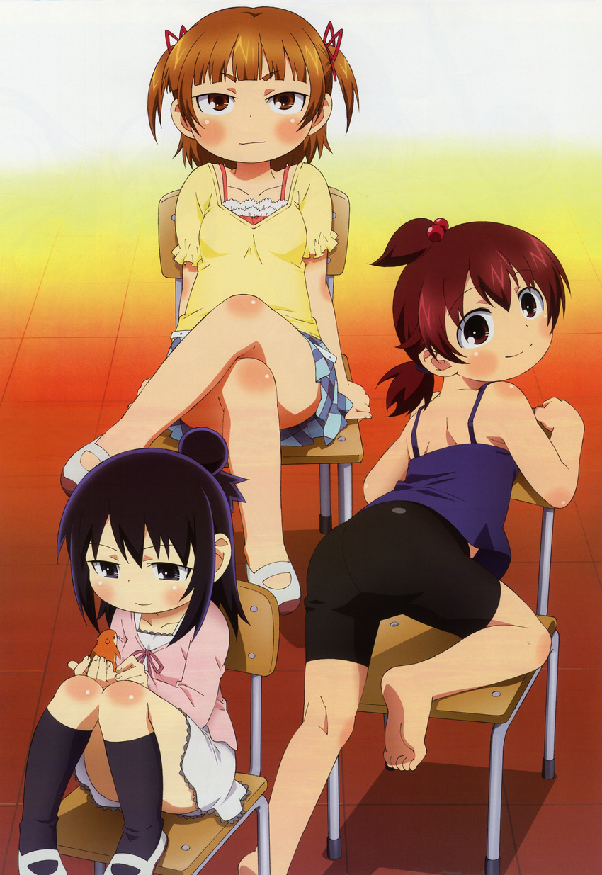 absurdres animal ass barefoot bike_shorts black_eyes black_hair blush brown_eyes brown_hair casual chair chikubi hair_bun hair_ribbon hamster highres looking_back marui_futaba marui_hitoha marui_mitsuba mitsudomoe multiple_girls nakayama_hatsue non-web_source nyantype official_art ponytail red_eyes red_hair ribbon scan short_hair shorts siblings sisters skirt smile socks