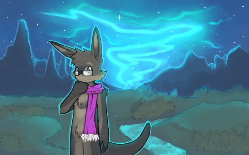 aurora_borealis black_nose brown_fur eyewear featureless_crotch front_view fur glasses kangaroo landscape looking_at_viewer male mammal marsupial mostly_nude mountain river scarf sky solo star whiteleo