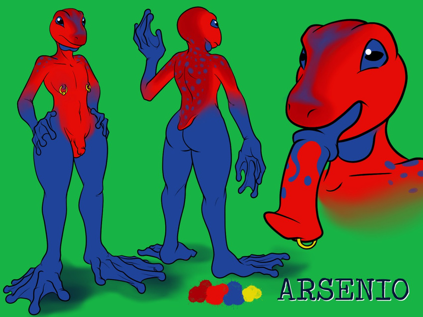 amphibian animal_genitalia anthro cock_tongue frog halcy0n horsecock large_feet male model_sheet nipple_piercing nipples penis piercing small_cock twink