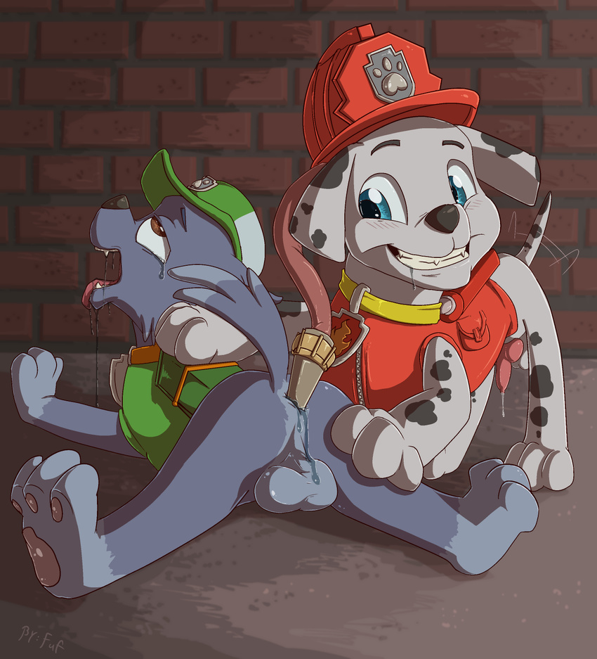 ahegao anal_insertion animal_genitalia anus backsack balls bottomless butt canine canine_penis clothed clothing cub dalmatian dog dripping drooling enema erection feral firefighter_uniform front_view fuf grin half-dressed knot leaking lying male male/male mammal marshall_(paw_patrol) naughty_face on_front paw_patrol pawpads penis perineum precum rear_view rocky_(paw_patrol) saliva saliva_string sheath signature standing tailwag tongue tongue_out young