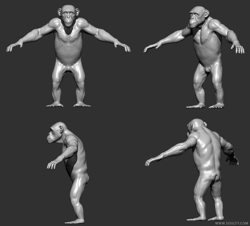 anthro ape baboon chimpanzee fur hair mammal monkey nude prehensile_feet primate solo unknown_artist