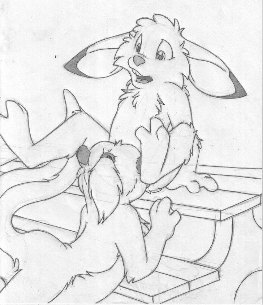 anthro barefoot buckteeth cub duo female front_view greyscale jake_cottontail katie_kirster lagomorph leaning leaning_forward legs_up male male/female mammal mizzyam monochrome mustelid no_visible_genitalia nude open_mouth oral otter pencil_(artwork) picnic_table ponytail rabbit rear_view sitting spread_legs spreading teeth traditional_media_(artwork) young