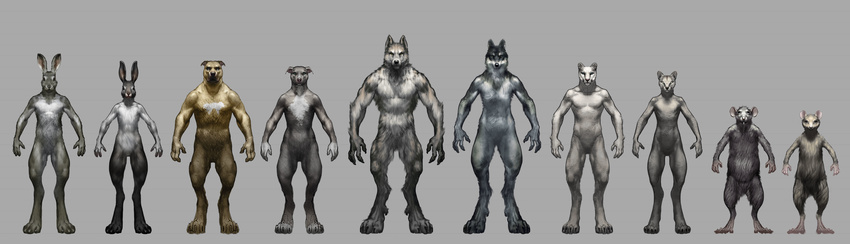 absurd_res anthro canine cat digitigrade dog feline female hi_res lagomorph lineup male mammal mouse nude overgrowth rabbit rat rodent simple_background steve_hong wolf